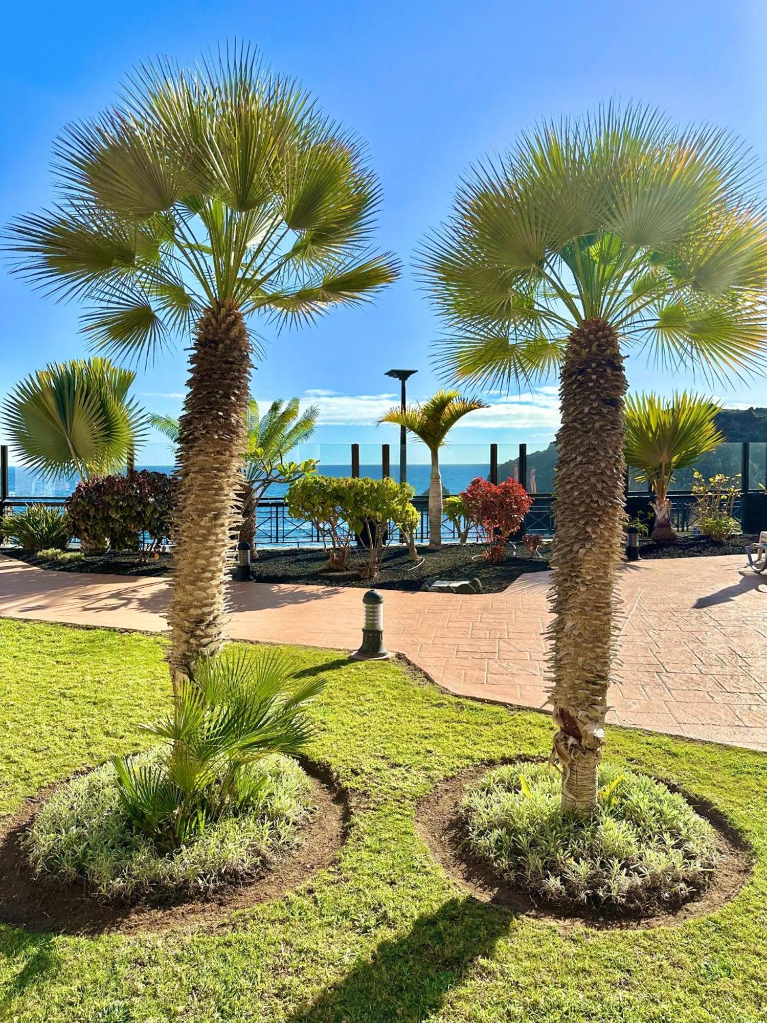 El Nautico Apartment Сан Мигель Экстерьер фото